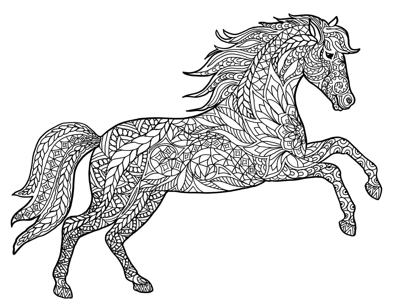 Animals coloring pages