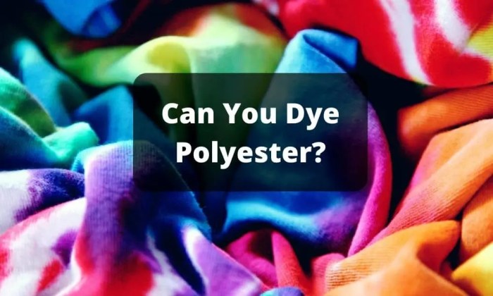 Can you dye polyester with food coloring