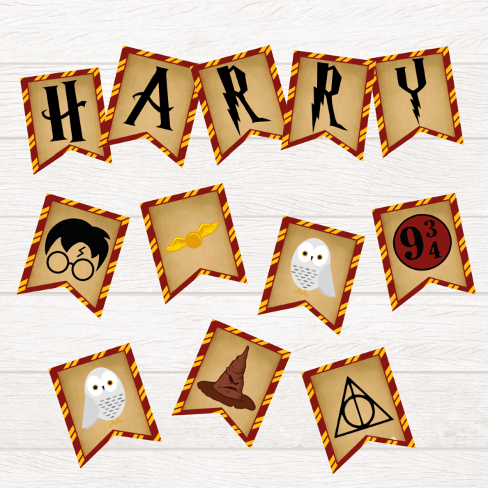 Harry potter birthday decoration ideas