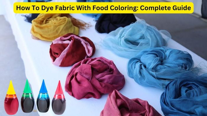 Can you dye fabric with food coloring