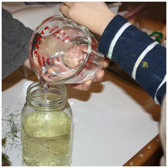 Water oil food coloring alka seltzer experiment