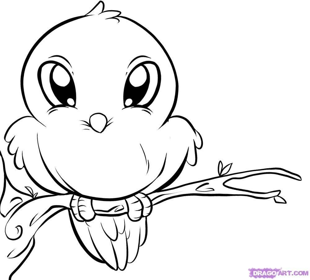 Bird coloring pages