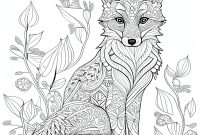 Fox coloring pages