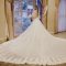 Wedding Dresses with Long Trains and Veils